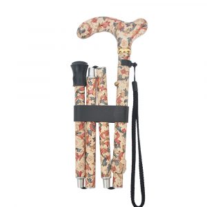 Easy Extendable Walking cane